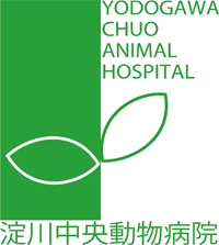 淀川中央動物病院